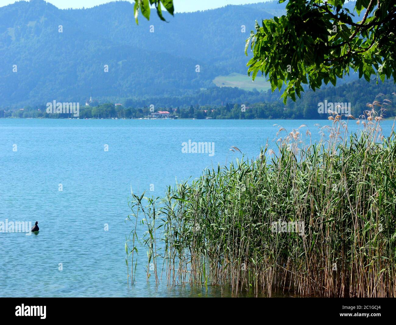 Vue du bord du lac avec roseaux vers les montagnes Banque D'Images