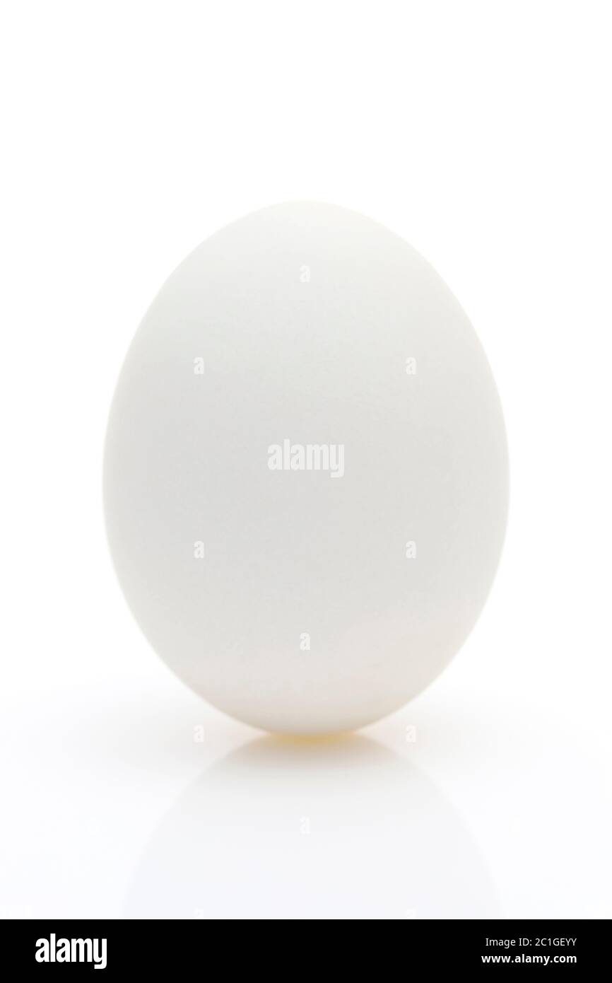 Œufs blancs dans un studio tourné sur fond blanc Banque D'Images
