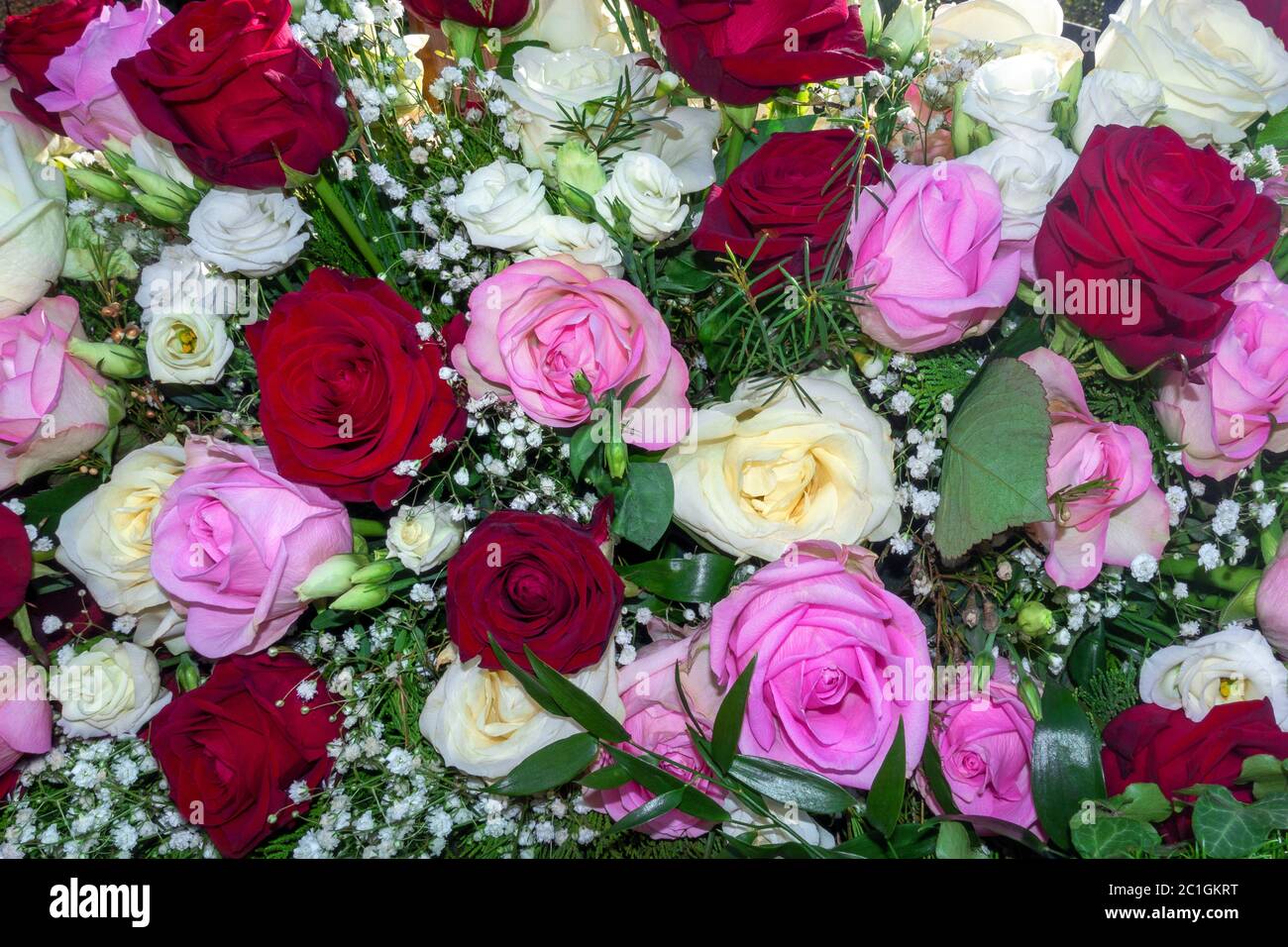 Belle disposition de fleurs de roses blanches, roses et rouges en gros plan Banque D'Images