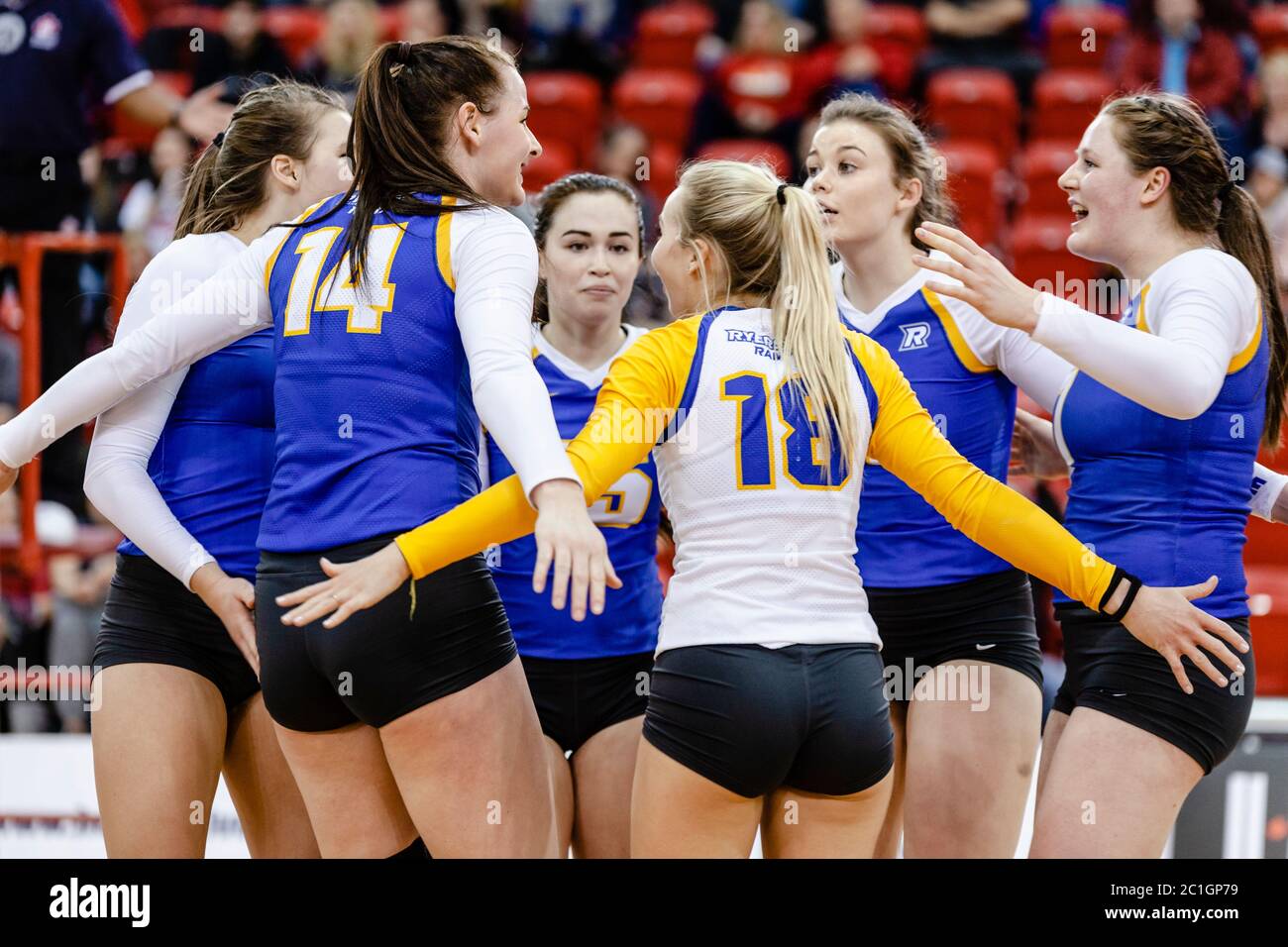 Joueur de volleyball Ryerson Rams - groupe, motivation, Banque D'Images