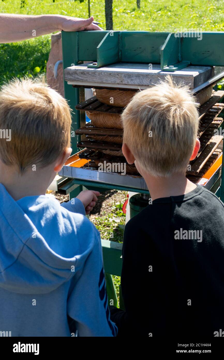 Kinder beobachten der Vorgang in der Saftpresse, Trotte Banque D'Images