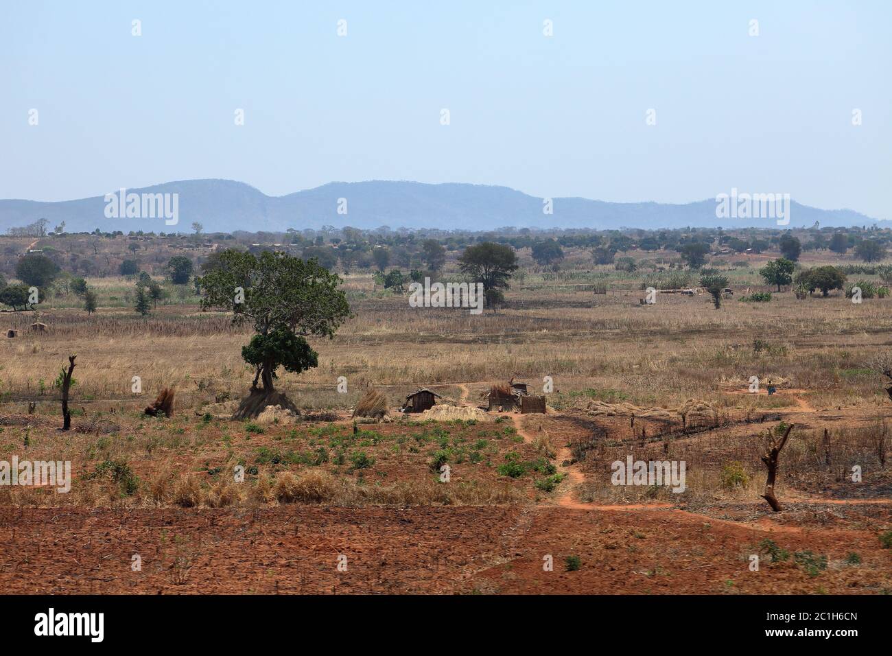 Paysage et nature en Tanzanie Banque D'Images