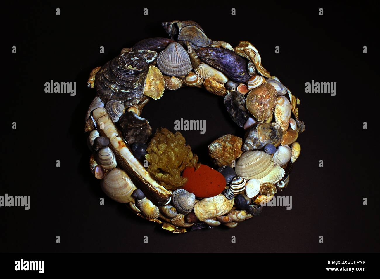 Couronne avec coquillages de la mer du Nord Banque D'Images