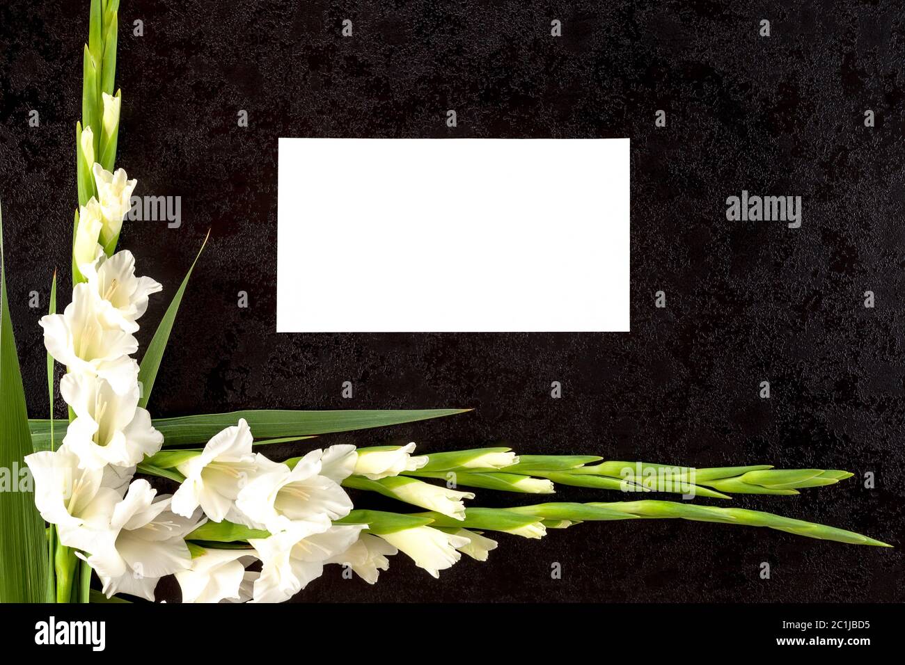 Fleurs gladioly avec papier vierge pour avis nécrologique. Banque D'Images