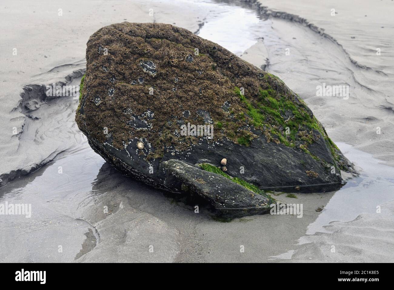 Reef rock après l'océan Atlantique Banque D'Images