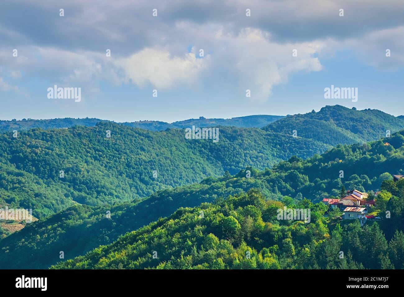 Le paysage bulgare d'été Banque D'Images