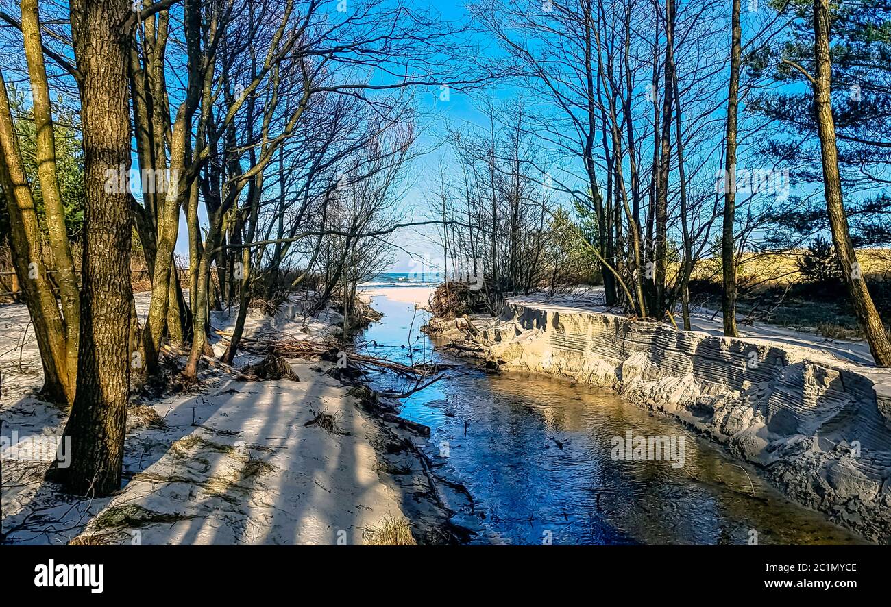 Ruisseau dans la forêt sauvage en hiver - Parc national de Slowinski, Pomerania, Pologne Banque D'Images