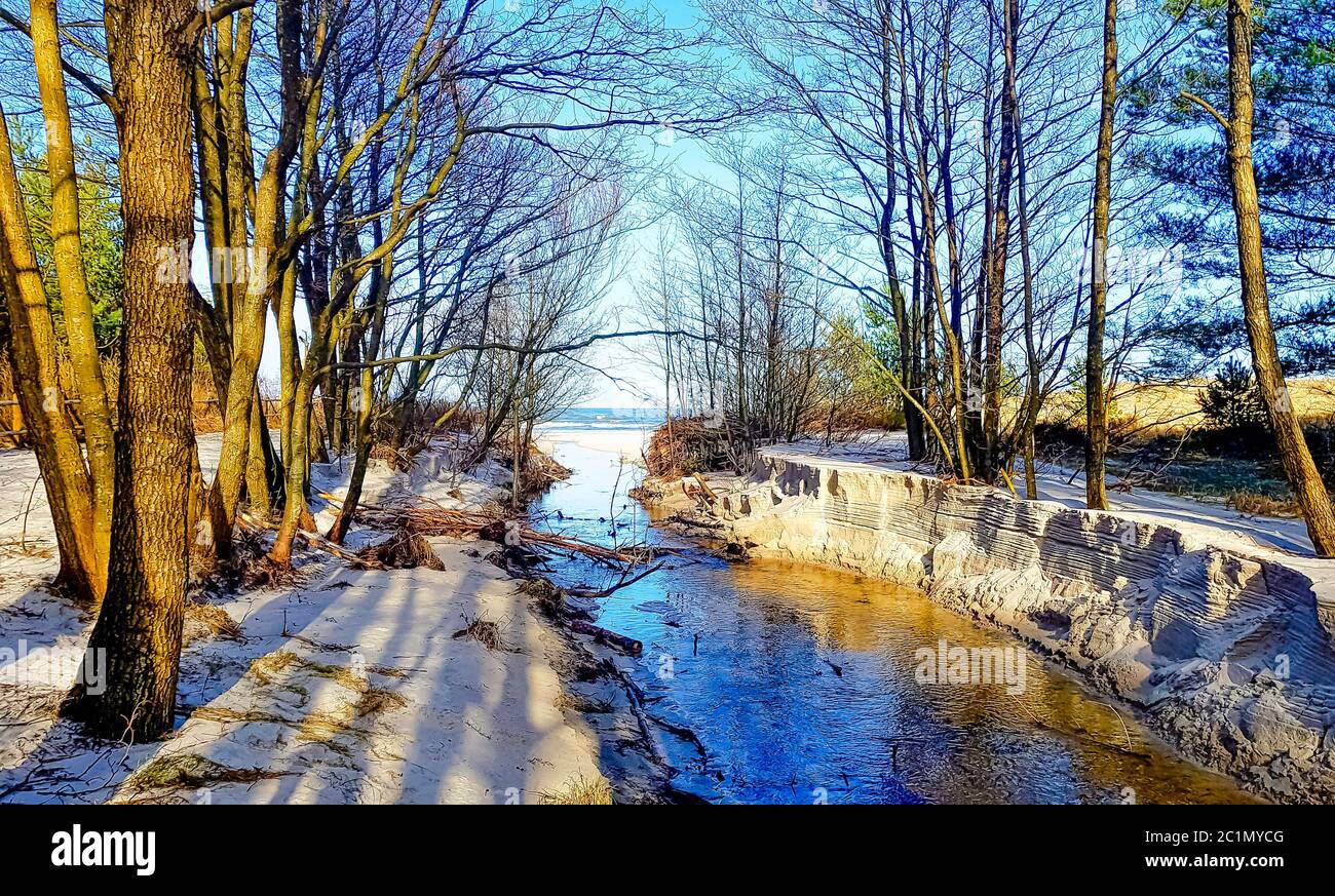Ruisseau dans la forêt sauvage en hiver - Parc national de Slowinski, Pomerania, Pologne Banque D'Images