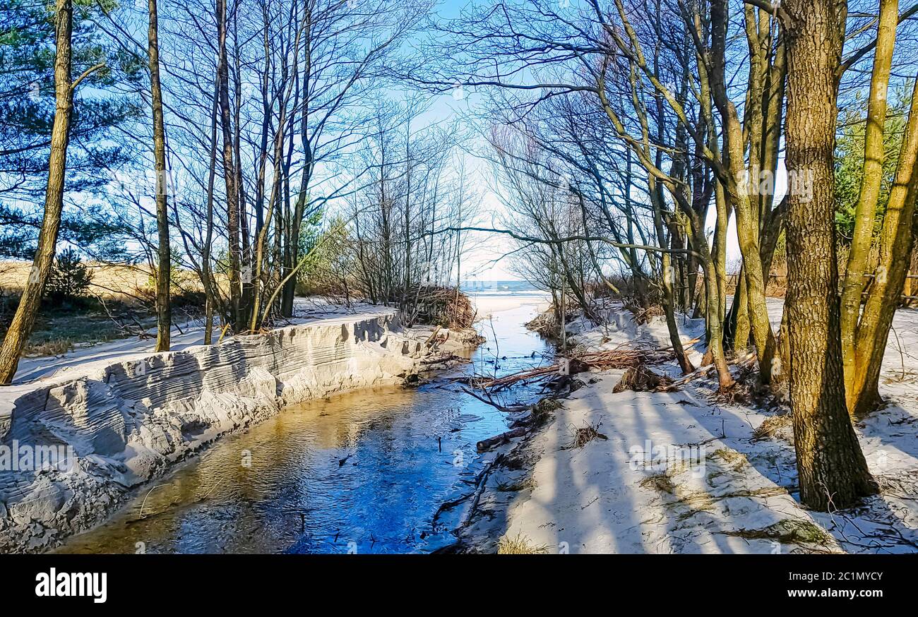 Ruisseau dans la forêt sauvage en hiver - Parc national de Slowinski, Pomerania, Pologne Banque D'Images