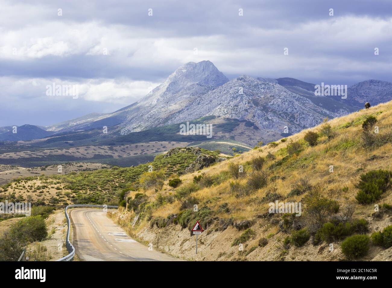 Route asphaltée sinueuse en Espagne Banque D'Images