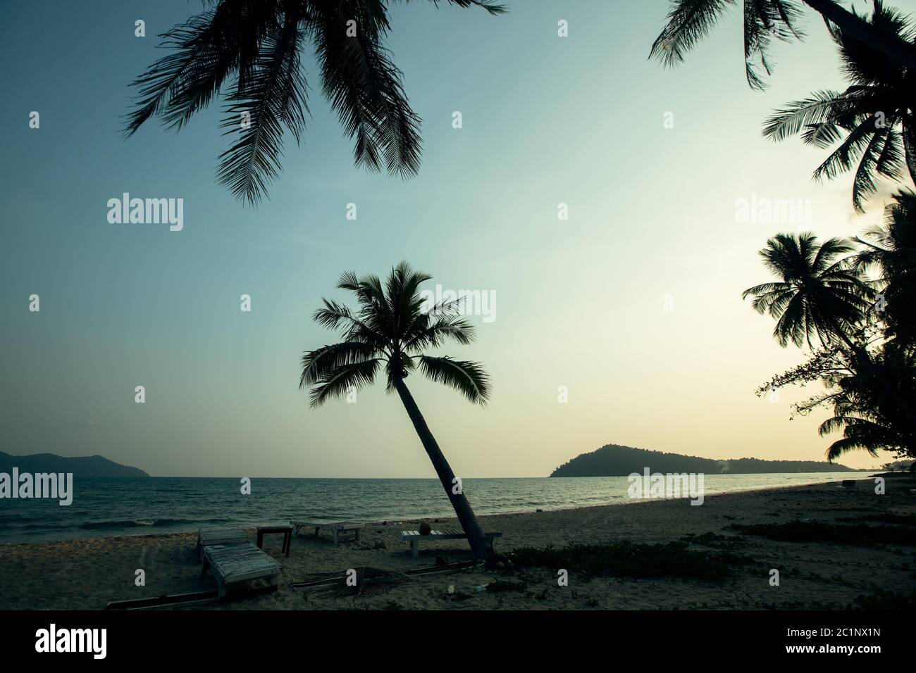 Silhouettes de palmiers sur une plage tropicale au beau crépuscule. Banque D'Images