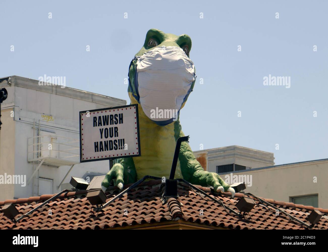 Los Angeles, Californie, États-Unis 15 juin 2020 UNE vue générale de l'atmosphère de dinosaures avec masque facial à Ripleys croyez-le ou non sur Hollywood Blvd le 15 juin 2020 à Los Angeles, Californie, États-Unis. Photo par Barry King/Alay stock photo Banque D'Images
