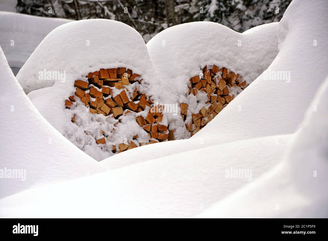 Bloqués par la neige Banque D'Images