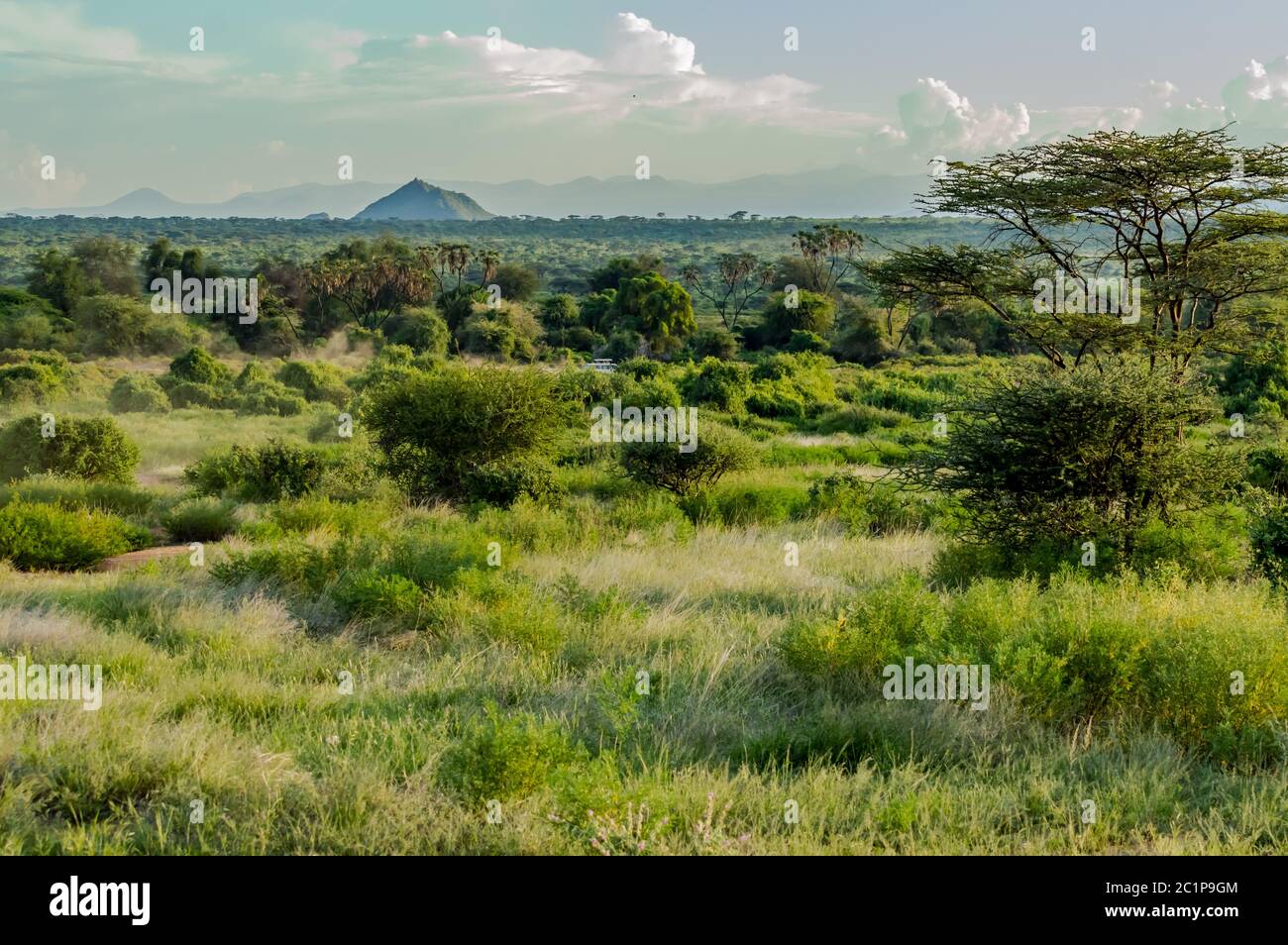 Vue sur les sentiers et la savane de Samburu Banque D'Images