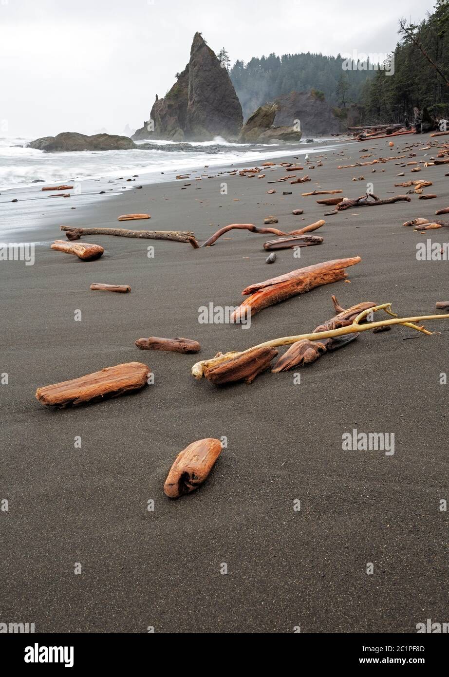 WA16845-00....WASHINGTON - le bois de dérive, les billes et les boules de racine, soufflées par les tempêtes hivernales sur la plage du Rialto près de Hole-in-the-Wall dans la Pa nationale olympique Banque D'Images