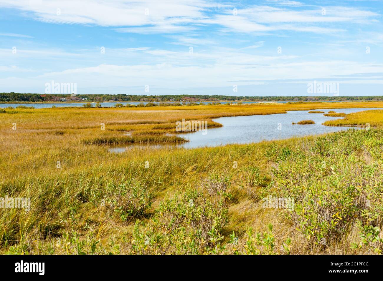Marais de Sengekontake Pond sur Martha's Vineyard, Nerw, Angleterre, États-Unis. Banque D'Images