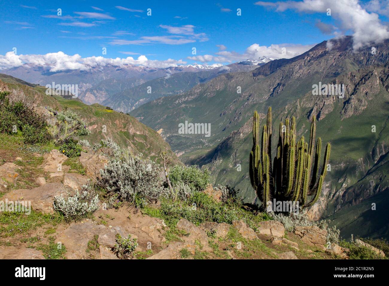 Sentier de randonnée de Colca Canyon à Cruz del Condor perspectives dans le centre du Pérou Banque D'Images