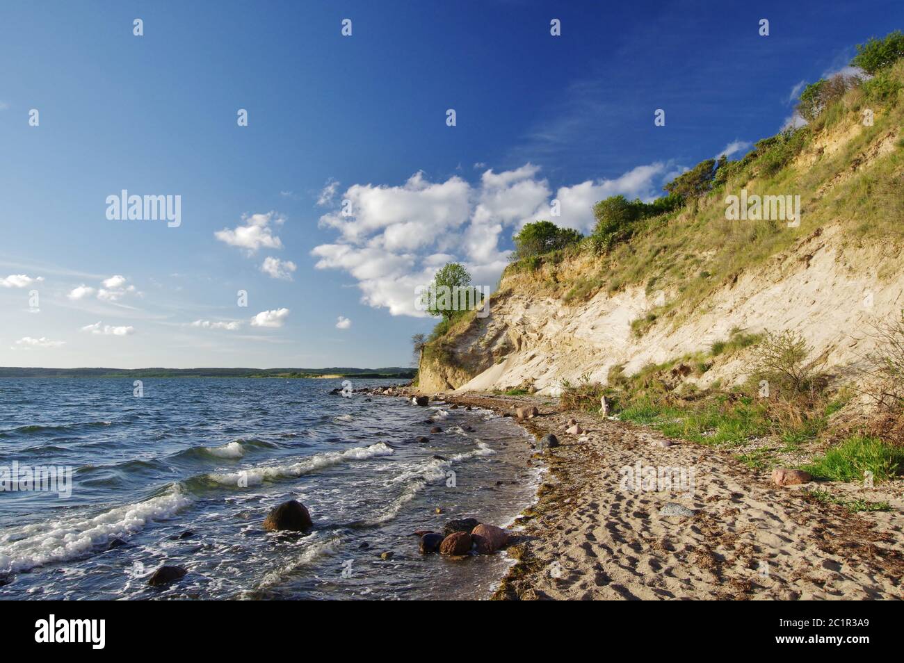 Sur la plage naturelle, ligne de falaise, Reddevitzer Höft, Mönchgut, île de Rügen, Mecklembourg-Poméranie-Occidentale, Allemagne, Europe de l'Ouest Banque D'Images