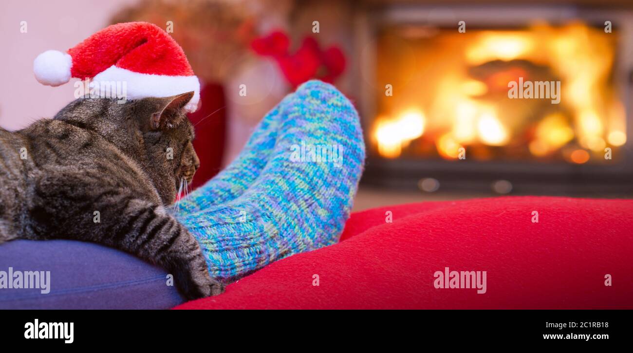 Chat gris avec chapeau de Père Noël et une cheminée. Banque D'Images