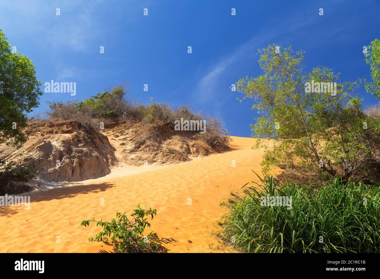 Belle dune de sable rouge et formation de sable dans différentes couleurs. Banque D'Images