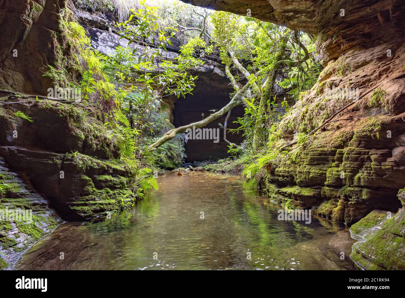 Rivière traversant des rochers, des mousses, des cavernes et de la végétation dans la forêt tropicale Banque D'Images