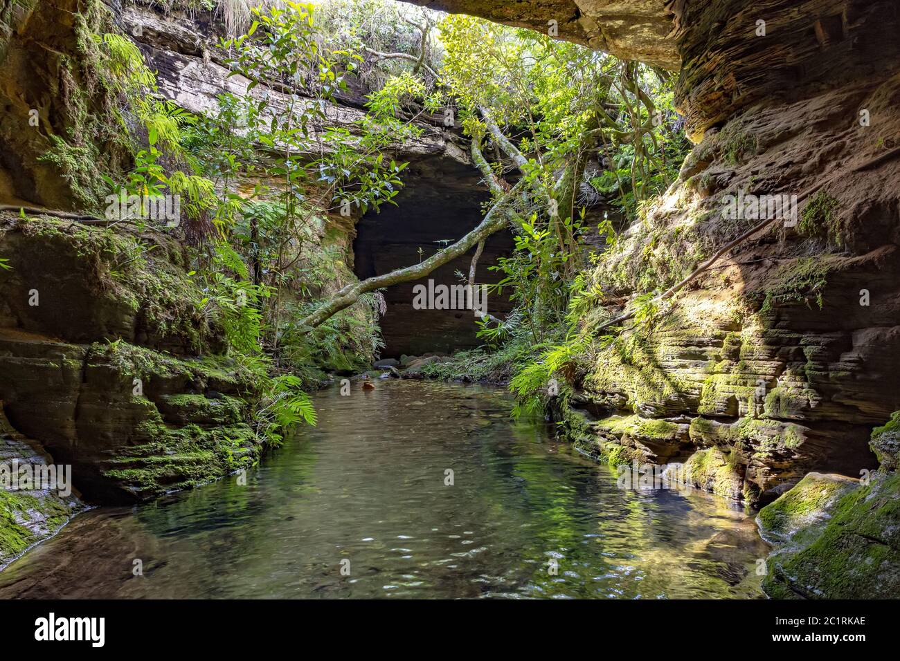Rivière au milieu des rochers, des mousses, des grottes et de la végétation dans la forêt tropicale Banque D'Images