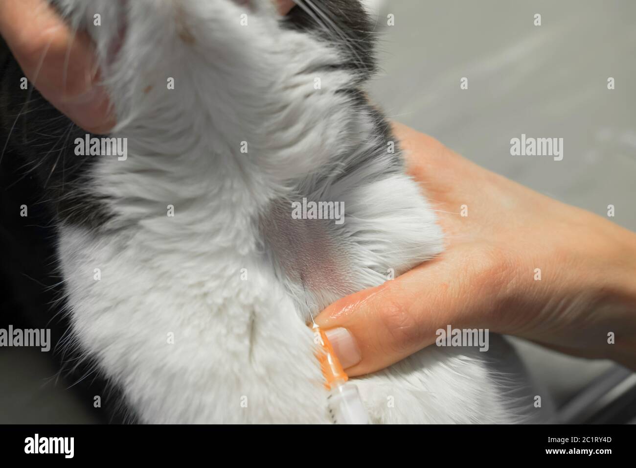 Aiguille De Prelevement Sanguin Banque D Image Et Photos Alamy