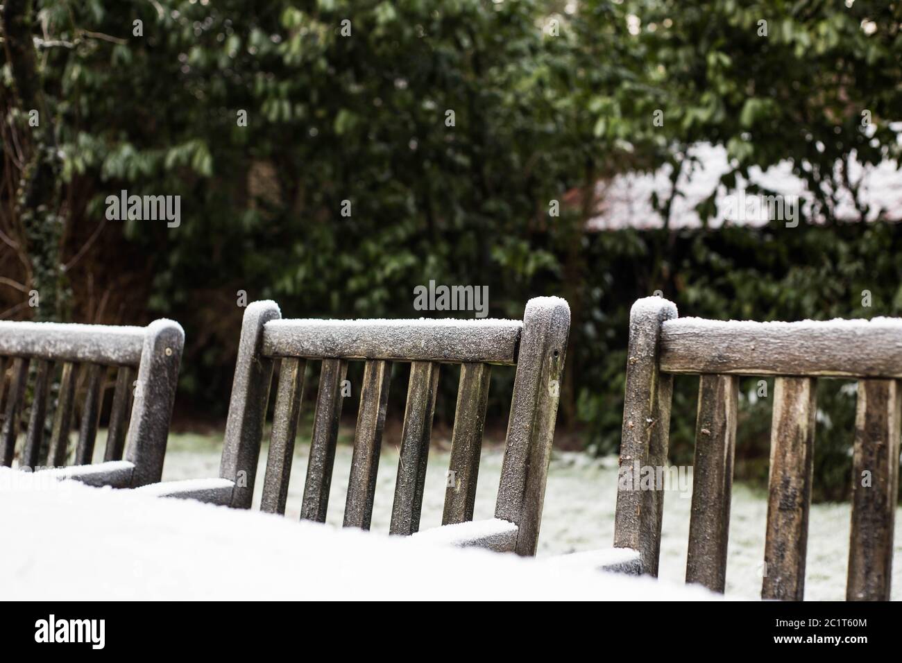Chaises de jardin confortable en bois recouvert de neige dans un jardin. Banque D'Images
