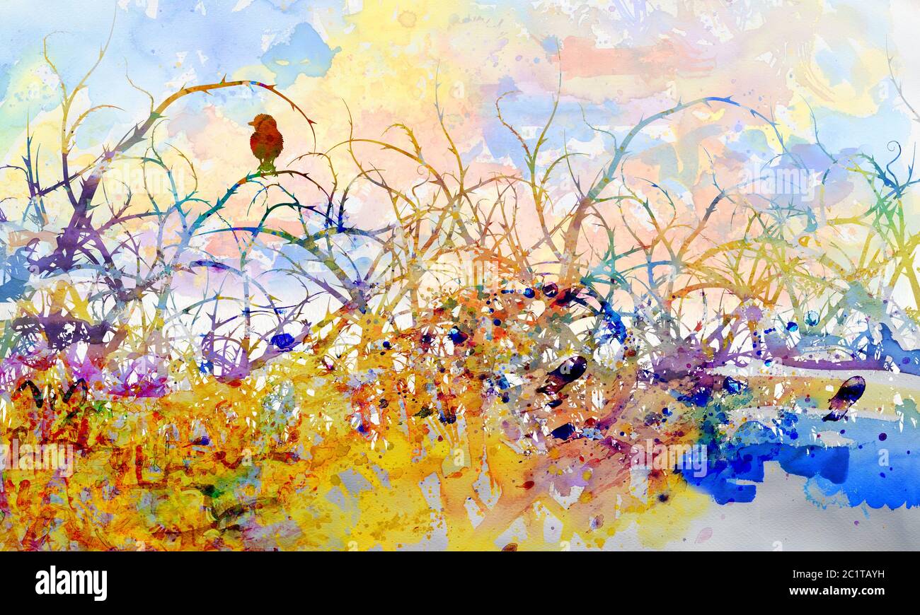 Jeune oiseau dans le gommage épineux et la solitude Photo Stock - Alamy