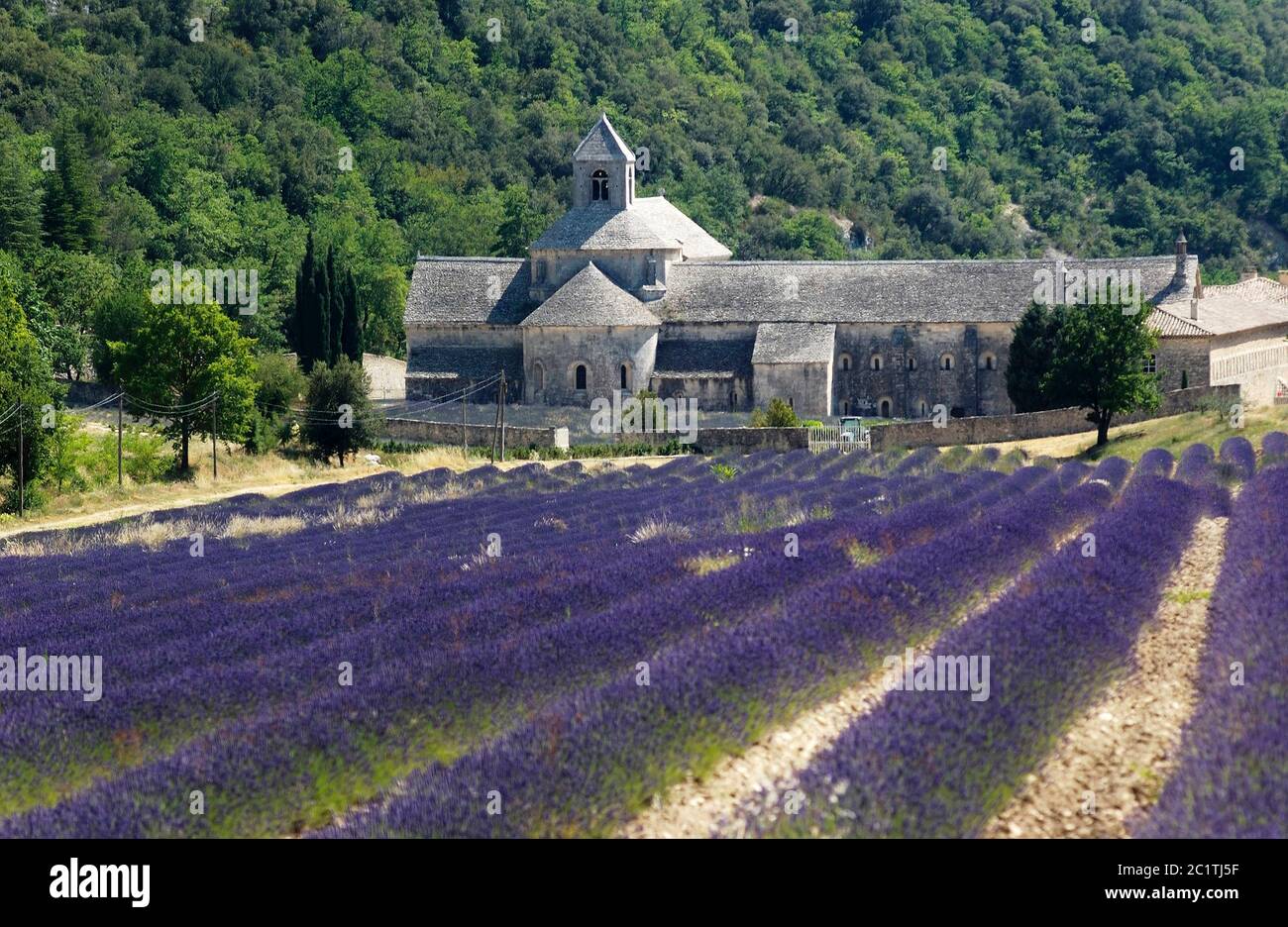 Abbaye de Sénanque avec champ de lavande, Gordes, département du Vaucluse, Provence Alpes Côte d'Azur, France Banque D'Images