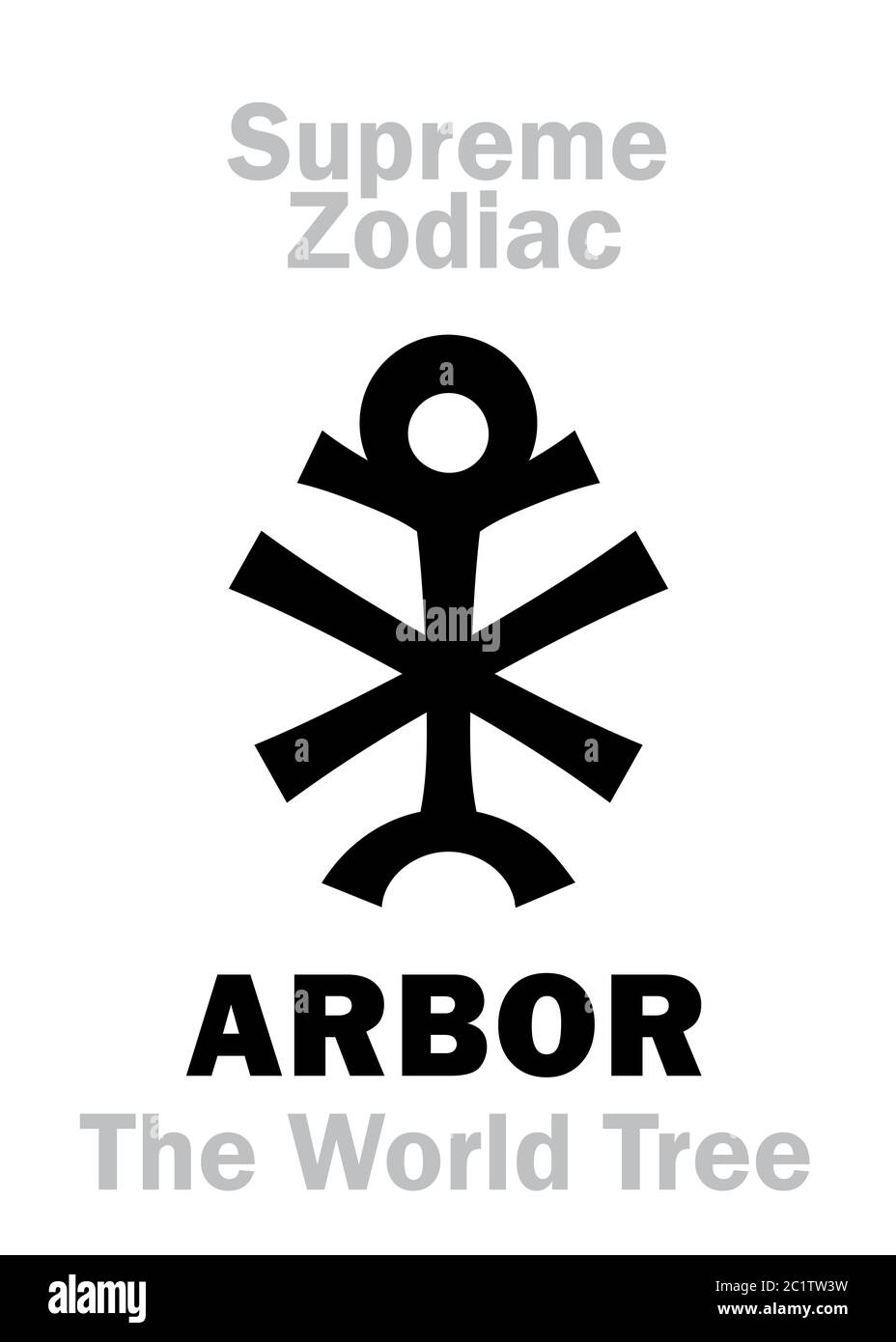 Astrologie: Zodiaque Suprême: ARBOR (l'arbre du monde)  Cassiopée («trône des cieux») Banque D'Images