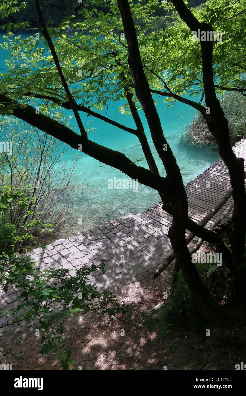 Croatie paysage naturel - Parc national des lacs de Plitvice (Plitvicka Jezera). Banque D'Images