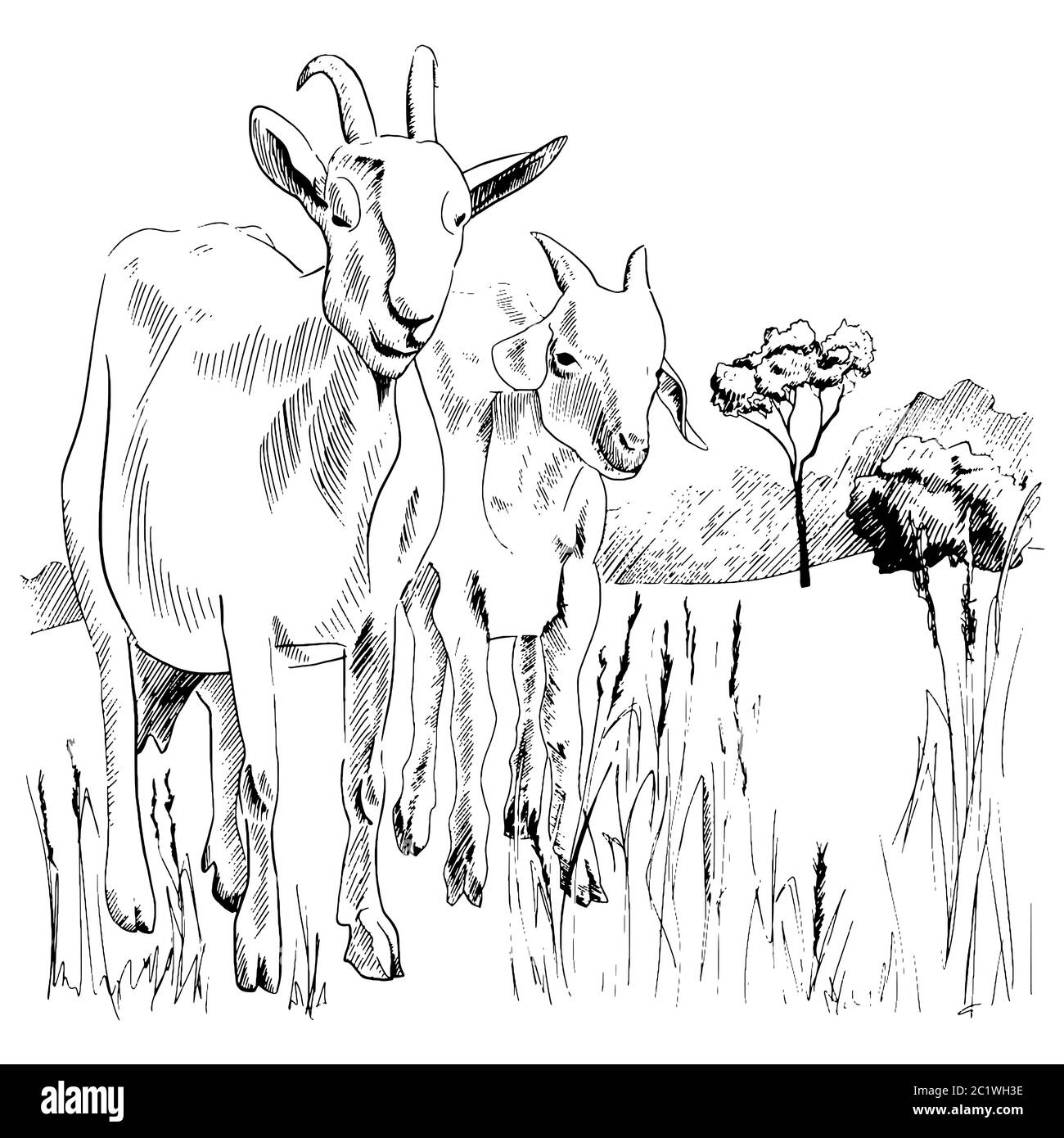 Dessiné à la main Paysage rural chèvres et enfants animaux de ferme. Esquissez dans un style graphique. Illustration noire vectorielle Illustration de Vecteur