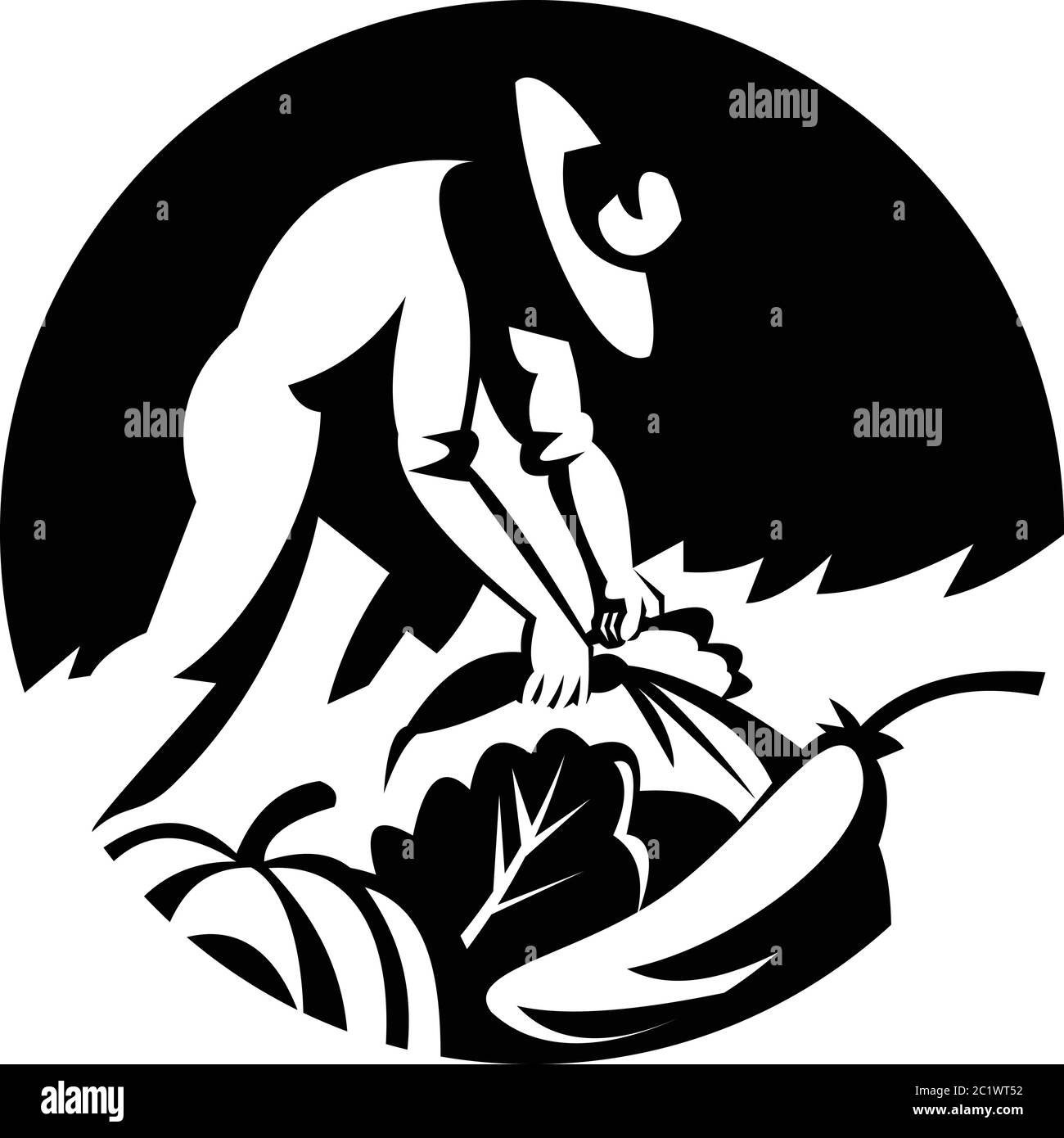 Illustration noire et blanche d'un fermier biologique récolte de légumes comme le concombre courge carotte vert légume vert feuillu ensemble à l'intérieur du cercle don Illustration de Vecteur