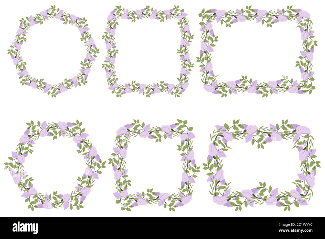 Élégante fleur lilas avec couronne sans feuille. Bordure fleurie. Conception vectorielle pour invitation. Illustration de Vecteur