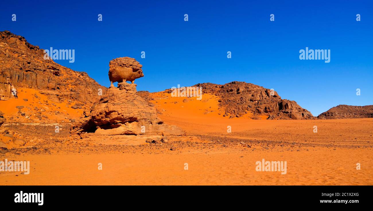 Résumé formation de roches aka cochon ou hérisson à Tamezguida, parc national Tassili nAjjer, Algérie Banque D'Images