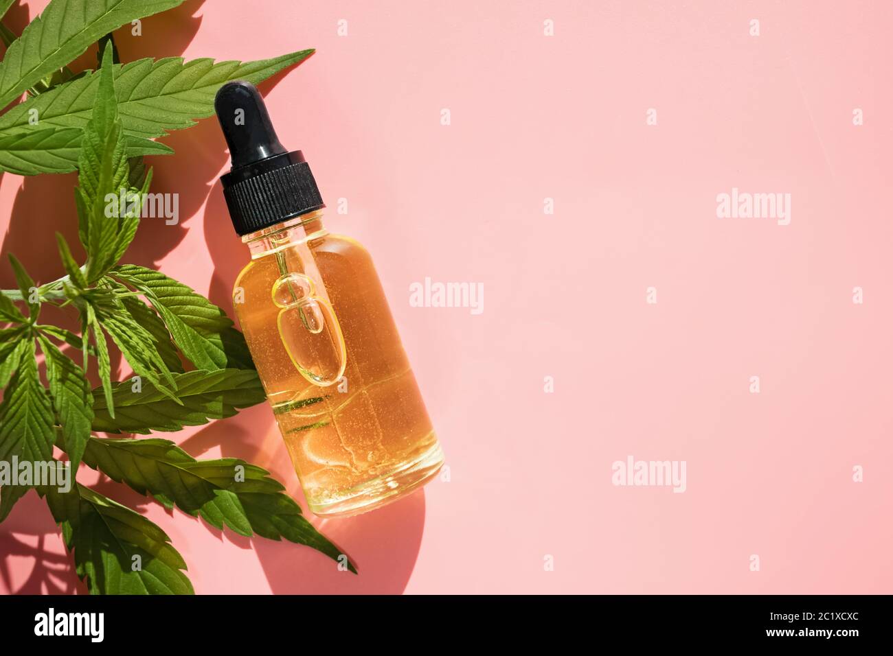 L'huile de cannabis CBD et les produits de chanvre sur fond rose. Produit de médecine biologique à base de plantes. Banque D'Images