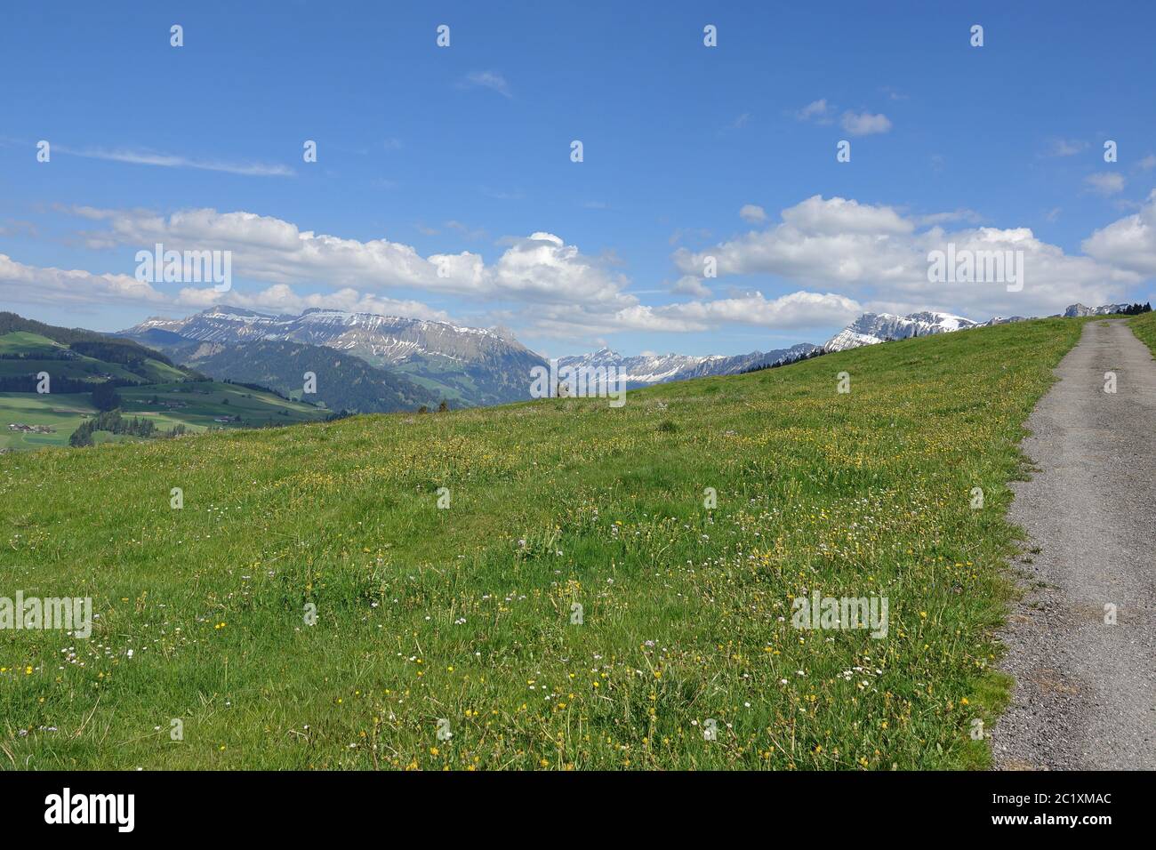 Paysage en Emmental / Suisse avec montagnes et prairies alpines. Banque D'Images