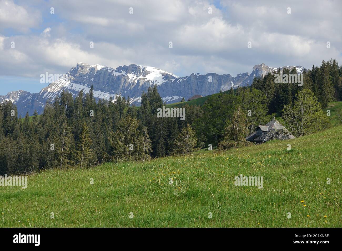 Paysage en Emmental / Suisse avec montagnes et prairies alpines. Banque D'Images