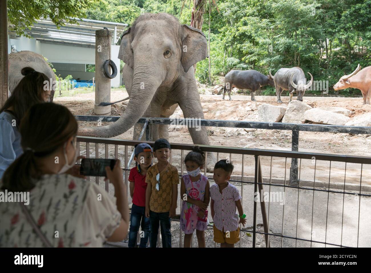 Bangkok. 16 juin 2020. Les enfants posent pour des photos avec un éléphant au zoo ouvert de Khao Kheow dans la province de Chonburi en Thaïlande, le 16 juin 2020. Six zoos en Thaïlande rouvriront gratuitement pour les visiteurs du 15 au 30 juin. Credit: Zhang Keren/Xinhua/Alay Live News Banque D'Images