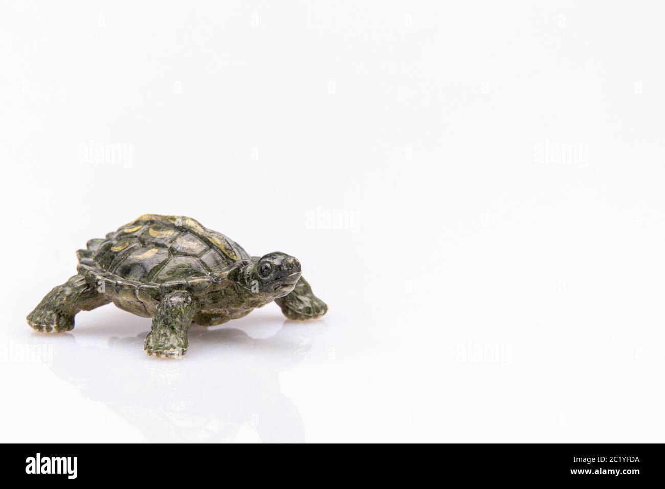 gros plan d'une tortue en plastique vert isolée sur un fond blanc Banque D'Images