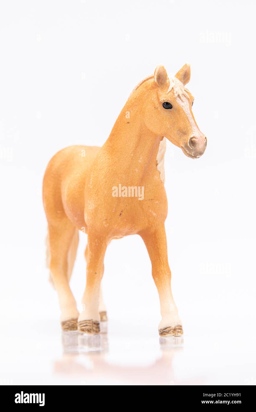 gros plan d'une tête de cheval en plastique marron isolée sur un fond blanc Banque D'Images