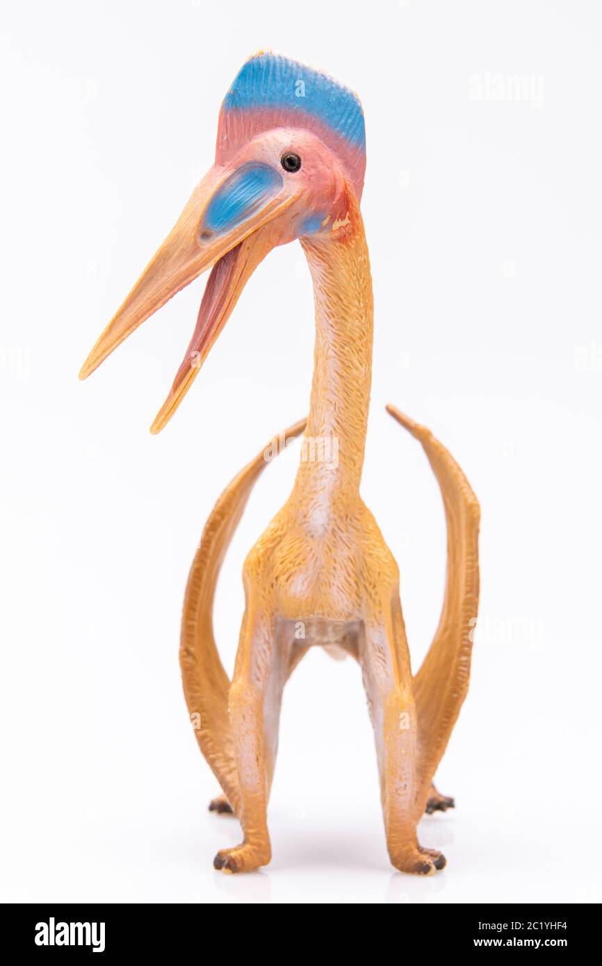 gros plan d'une figurine en plastique ptérodactyle colorfull isolée sur un fond blanc Banque D'Images