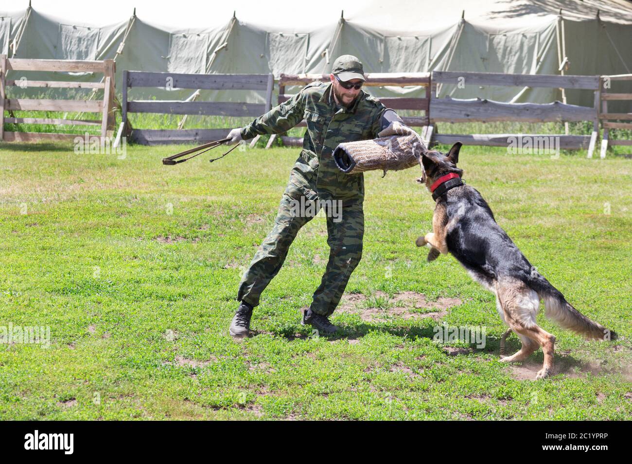 Russie, Izhevsk - 14 juin 2020 : entraînement d'un berger allemand dans un  club cynologique. Chien berger allemand en action. Cours de dressage de  chiens Photo Stock - Alamy