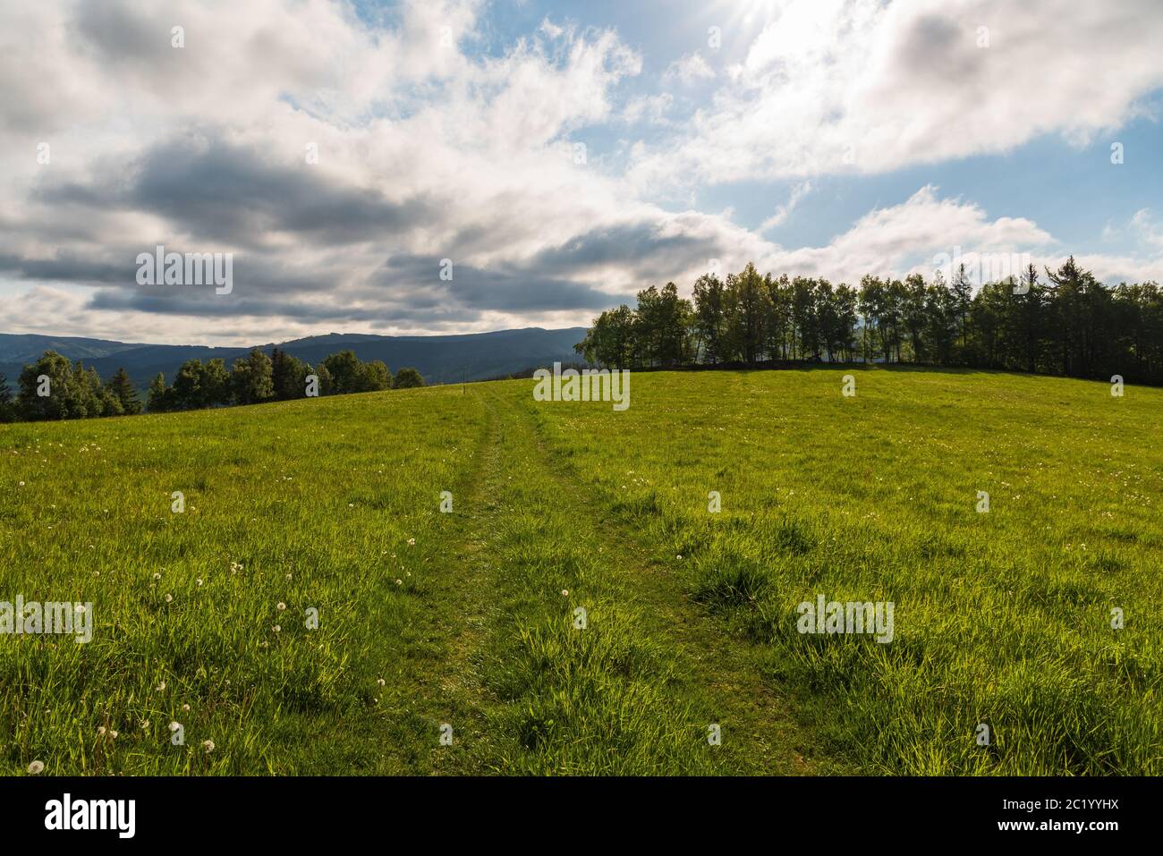 Pré printanière avec arbres autour, sentier, collines sur le fond et ciel bleu avec des nuages sur la colline de BRST au-dessus de Filipovice colonie dans Jeseniky m Banque D'Images