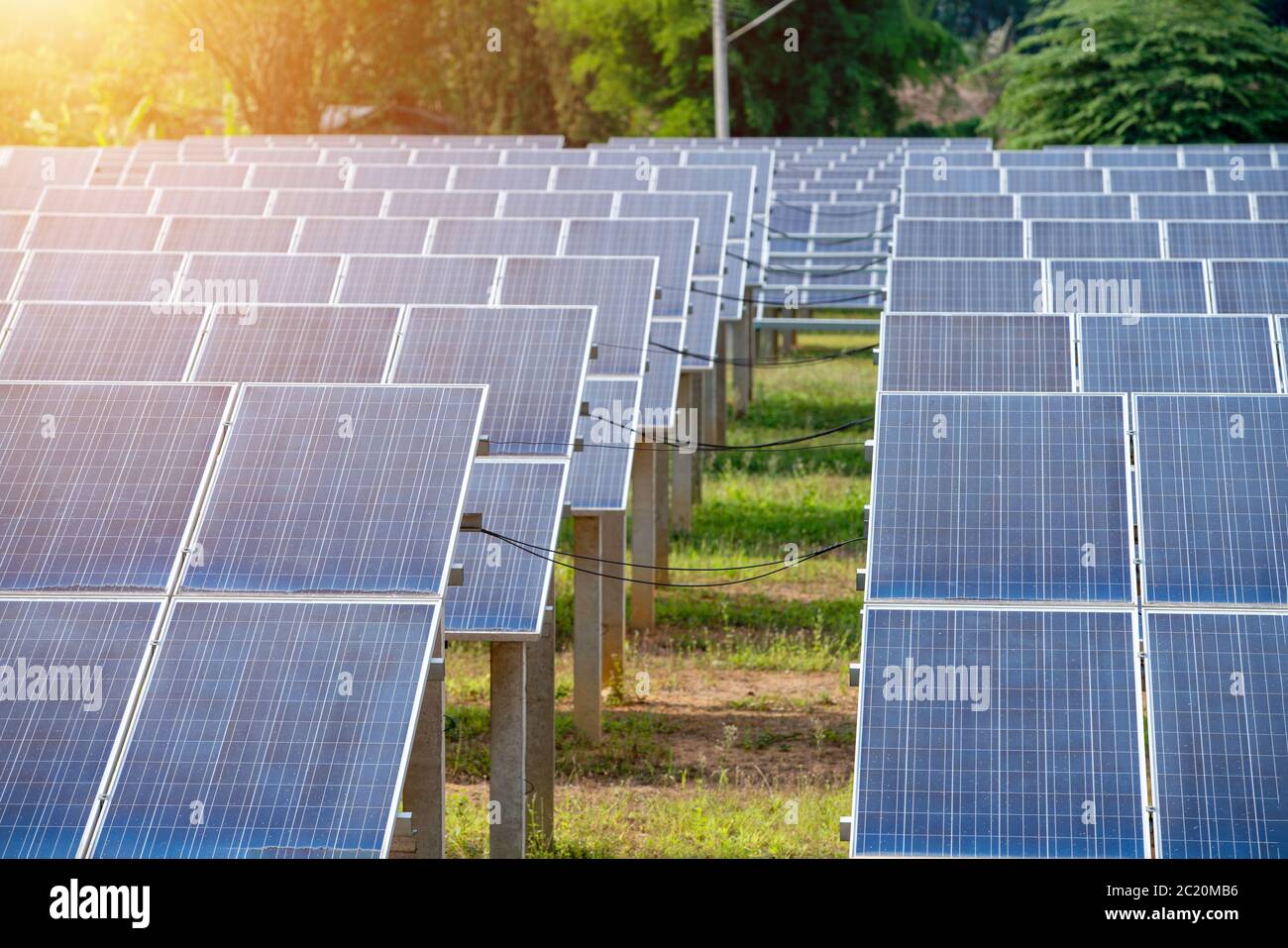 Cellules photovoltaïques solaires dans la ferme de panneaux solaires Banque D'Images