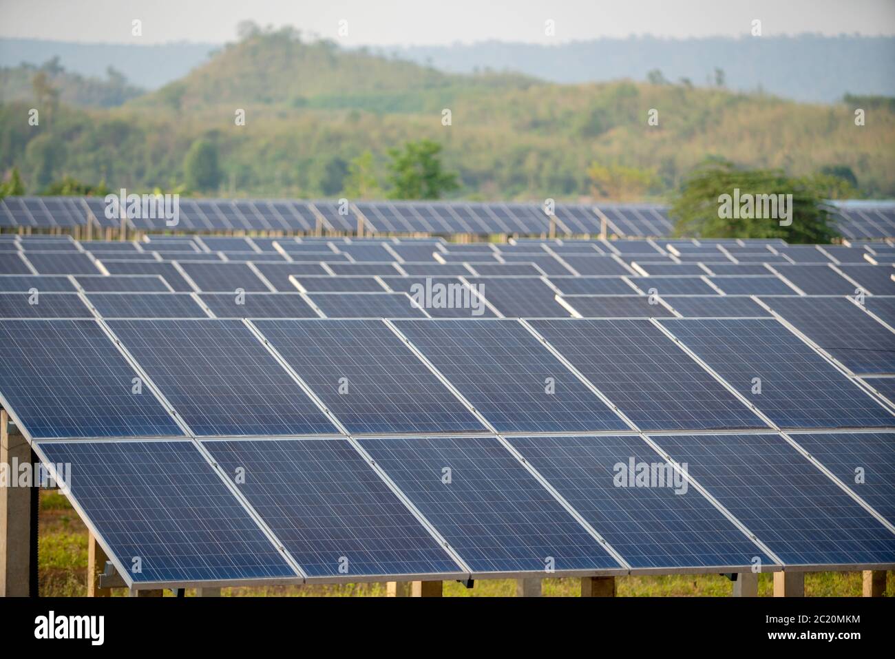 La cellule photovoltaïque dans la ferme de panneaux solaires Banque D'Images
