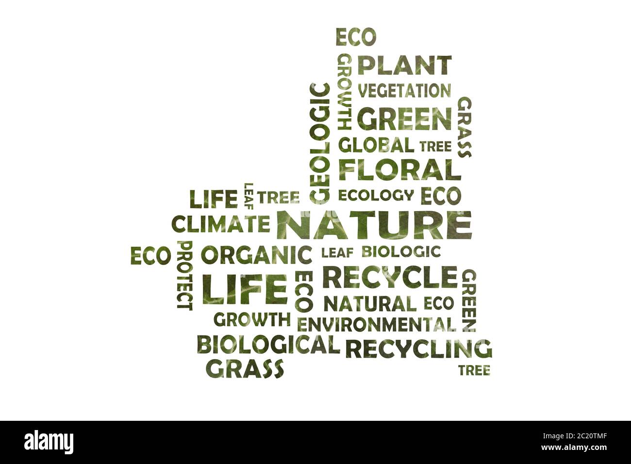 Combinaison de mots-clés sur la nature, l'écologie et recyclage - mots découpés dans une feuille de lierre Banque D'Images