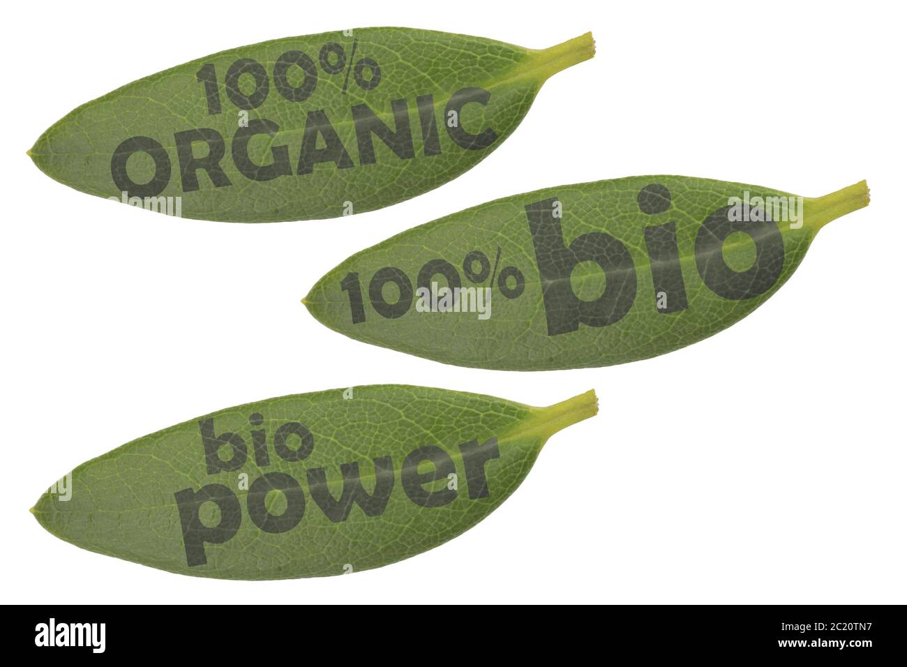 Icon Set avec trois feuilles vertes et les inscriptions 100 % bio, 100 % bio et alimentation bio Banque D'Images