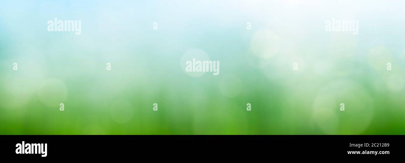 Prairie verte abstraite et bokeh ensoleillé Banque D'Images